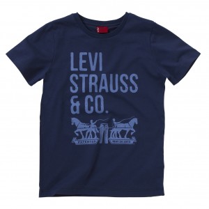 Blue/Navy Nigel Tee, Levi´s Boys