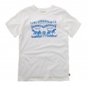 Vit/Off White Boston Tee, Levi´s Boys