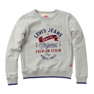 Grey/Mastic Melvin Sweater, Levi´s Boys