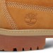 GUL NUBUCK 6 IN PREMIUM WP BOOT YOUTH, TIMBERLAND